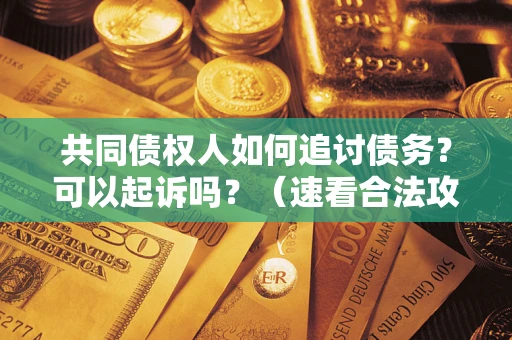 济南共同债权人如何追讨债务？可以起诉吗？（速看合法攻略）